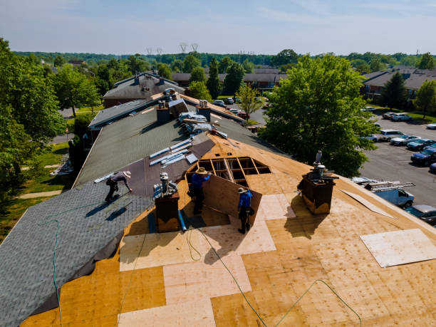 Trusted Roof Replacement service in Melrose, FL - Brentwood Metal Roofing